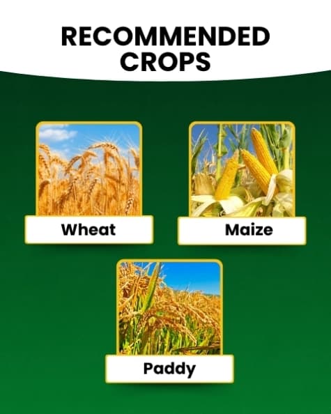 Katyayani NPK 00:52:34 (Mono Potassium Phosphate) Water Soluble Fertilizer For Promoting Flowering and Root Development In All Types of Crops - Image 4