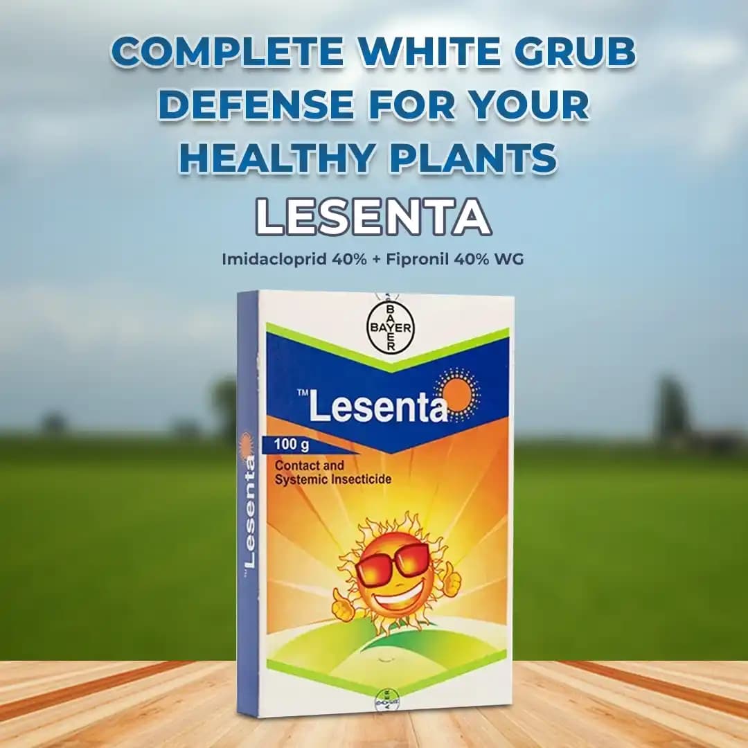 Bayer Lesenta - Imidacloprid 40% + Fipronil 40% ww WG (80 WG) Low Dose and Highly Effective Controls, Best Suited For White Grub Control - Image 2