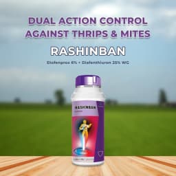 Godrej Rashinban Fluxametamide 3.8% + Pyridaben 9.5% SC Insecticide, Broad Spectrum, Targeting Sucking and Chewing Pests, Effective For Chilli 2