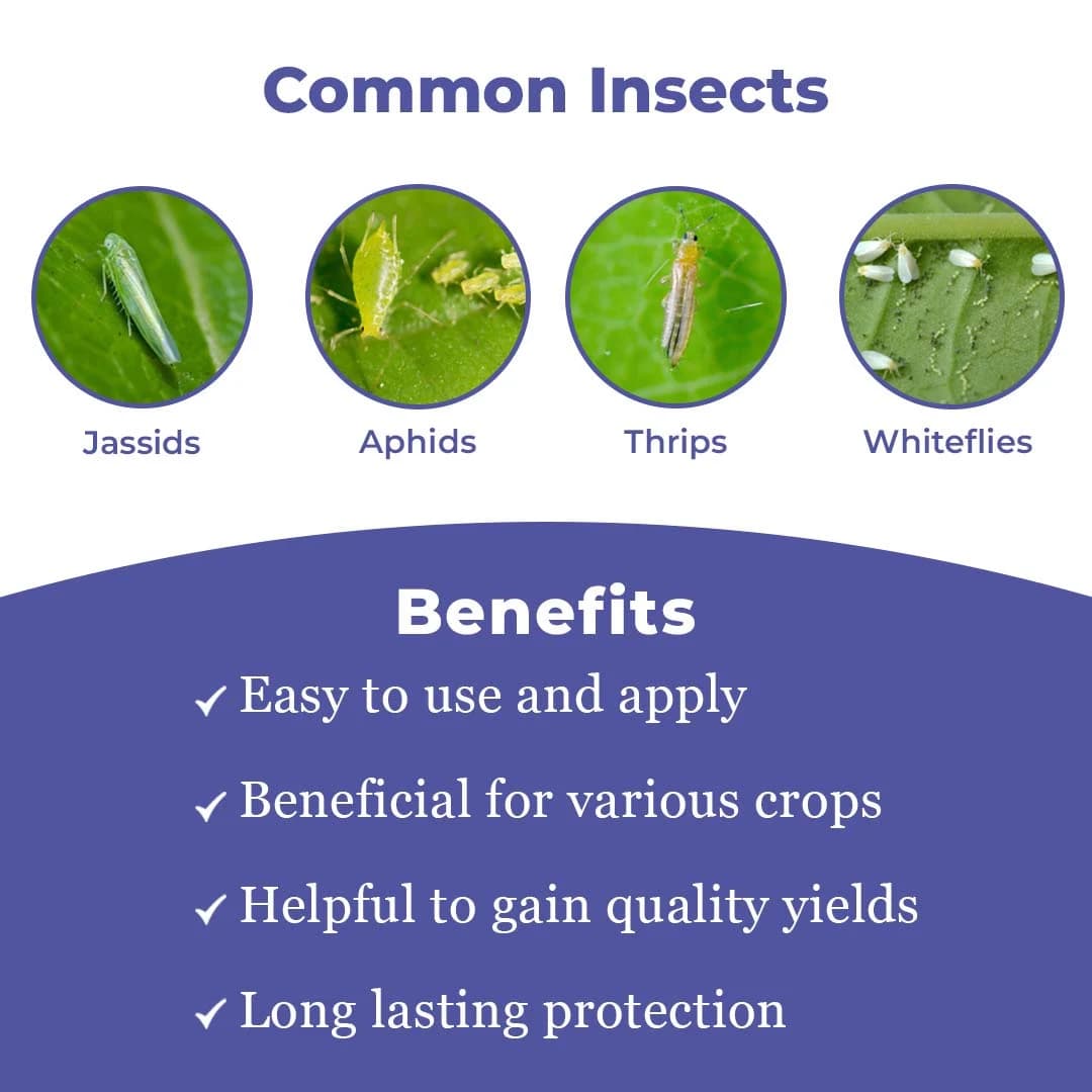 Thiolt-70 Insecticide - Thiamethoxam 70% WS - Image 3