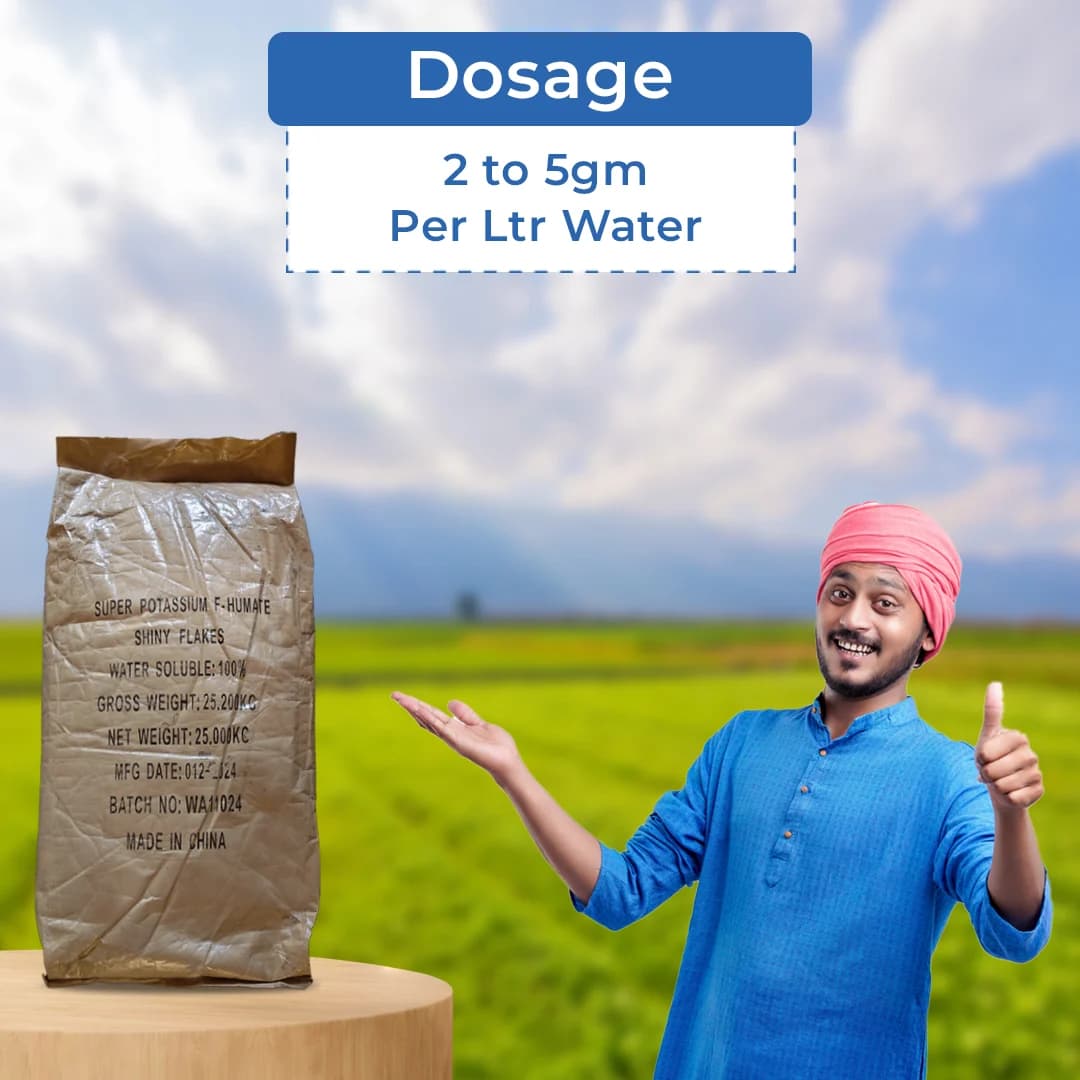 एग्रीबेग्री ह्यूमिक एसिड 98% (सुपर पोटैशियम ह्यूमेट), ढीला बैग पैकिंग, मिट्टी को सुधारने में मदद करता है, पौधों की वृद्धि के लिए। - Image 5