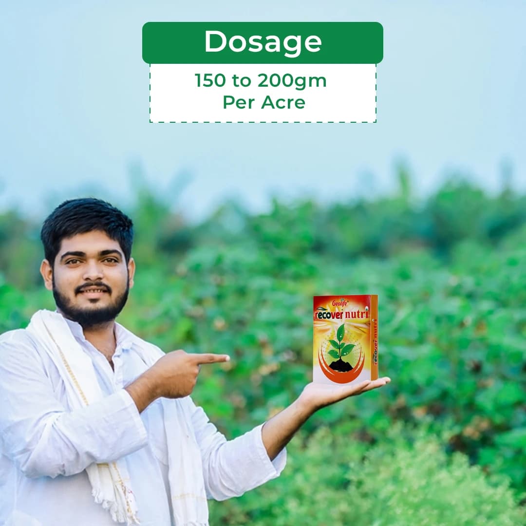 Geolife Recover Nutri Plant Immunity Builder, Non Toxic Fungus Antioxidant, Effective Against Fungus Diseases, Develop Immunity In Plants - Image 5