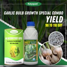 Katyayani Garlic Bulb Special Growth Combo, Enhance Growth (Fast 100ml, Mix Micronutrient 100gm) 2