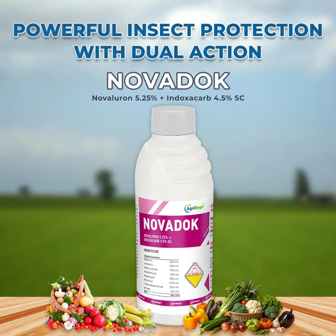Novadok Insecticide - Novaluron 5.25% + Indoxacarb 4.5% SC - Image 2