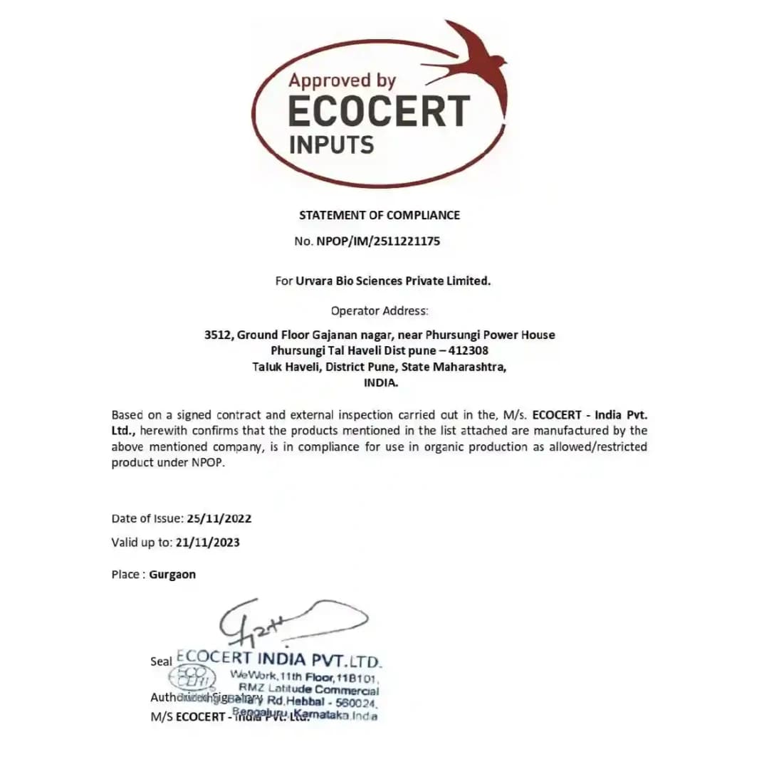 Super KM - Potassium Mobilizing Bacteria (PSB) for potassium solubilization in soil and freeing up potassium for easy absorption - Image 2