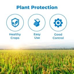 Agriventure Prodifen (Propiconazole 13.9 % W-W + Difenoconazole 13.9 % W-W Ec) Fungicide 3