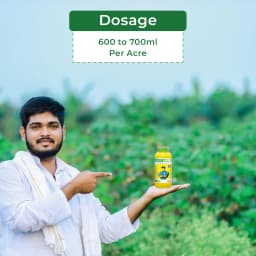 UPL Dost Super Pendimethalin 38.7% CS , Selective Pre Emergent Herbicide 5