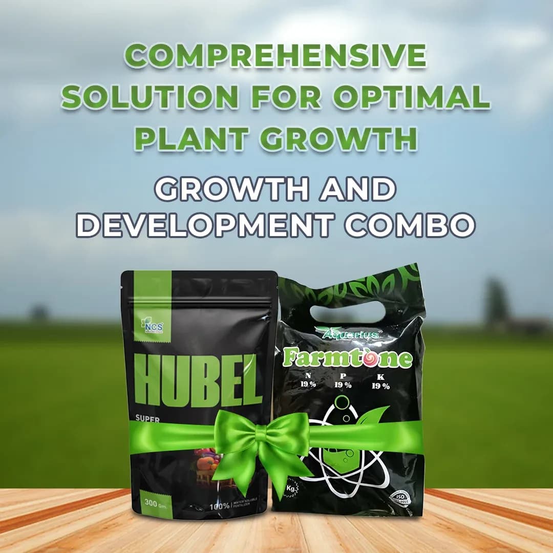 Growth and Development Combo (Farmtone NPK 19:19:19 3 Kg + HUBEL Humic Acid 98% 1.2 Kg) - Image 2