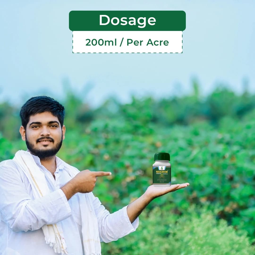 Dhanuka NISSODIUM Cyflufenamid 5% EW Fungicide, Provides Long Lasting Protection Against Powdery Mildew In Crop - Image 5