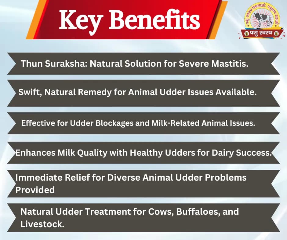 PASHU SVASTH THUN SURAKSHA, Animal Health Supplements, Natural Solution, Efficient Bovine Mastitis (Thanela) And Udder Health - Image 3
