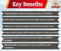 PASHU SVASTH THUN SURAKSHA, Animal Health Supplements, Natural Solution, Efficient Bovine Mastitis (Thanela) And Udder Health 3