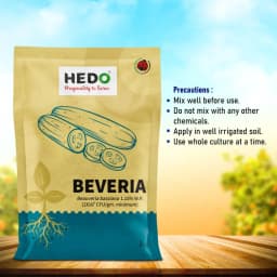 HEDO Beveria (Beauveria Bassiana 1.15% WP) Powder Bio Pesticide For Vegetables, Fruits & All Crops, Broad Spectrum Control 6
