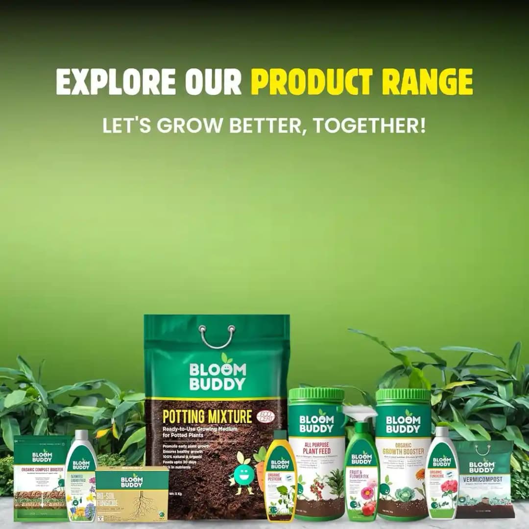 BloomBuddy All Purpose Plant Feed Granules, Organic Slow-Release Fertilizer with NPK & Micronutrients - Image 7