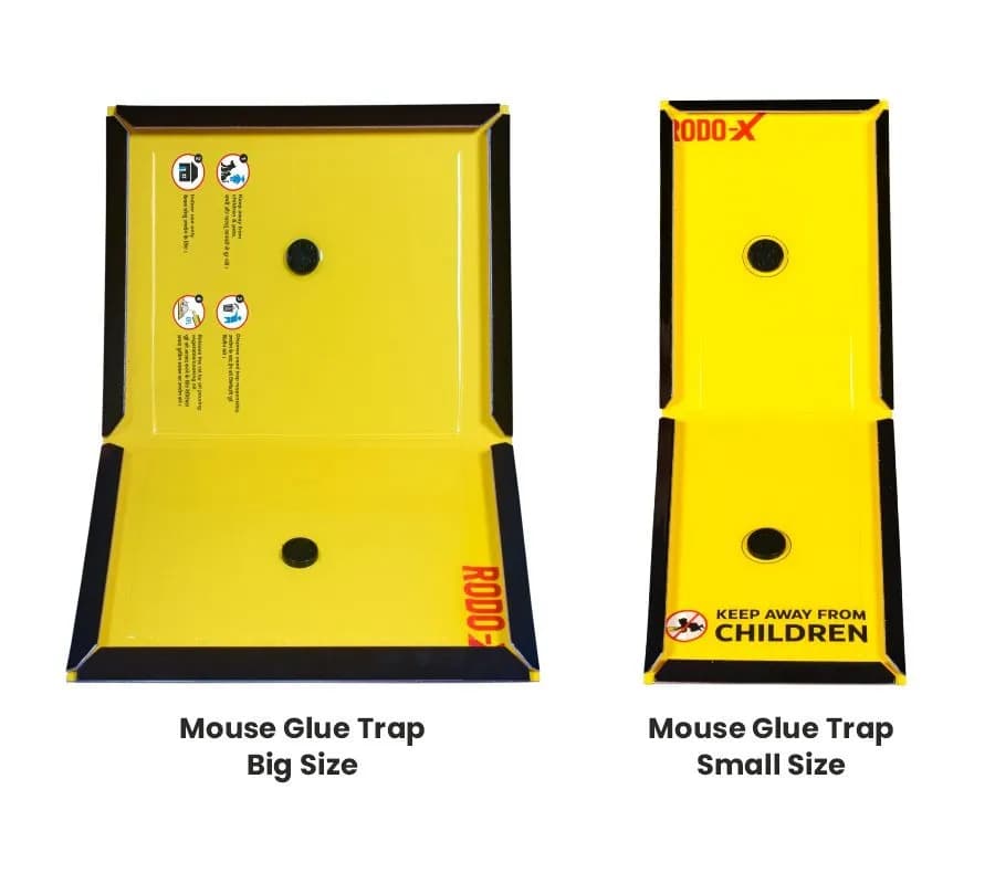 Hedo Mouse Glue Trap, Non Toxic & Non Drying, Ready to Use, Can Be Used In Home, Warehouse, Factory, Agriculture, etc. - Image 3