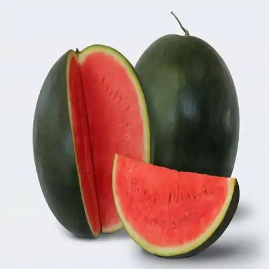Jivit F1 Hybrid JS Red Round Sugar Baby Type Imported Watermelon Seeds, Early Medium Maturity - Image 2