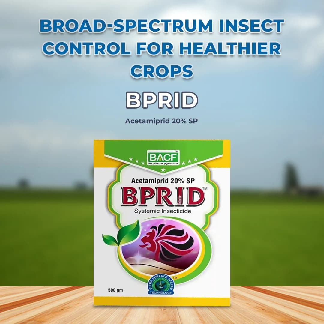 बीएसीएफ बीप्राइड - एसिटामिप्रिड 20% एसपी. प्रणालीगत कीटनाशक, कपास, सब्जी और फलों की फसलों के लिए सर्वश्रेष्ठ - Image 2