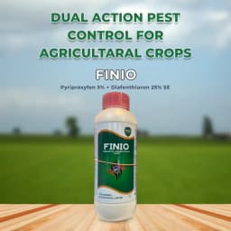 Coromandel Finio Pyriproxyfen 5% + Diafenthiuron 25% SE, Contact and Stomach action Insecticides. 2