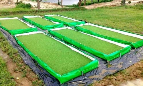 Megatex 450 GSM HDPE Organic Azolla Bed, Made From 100% Virgin HDPE Material - Image 11