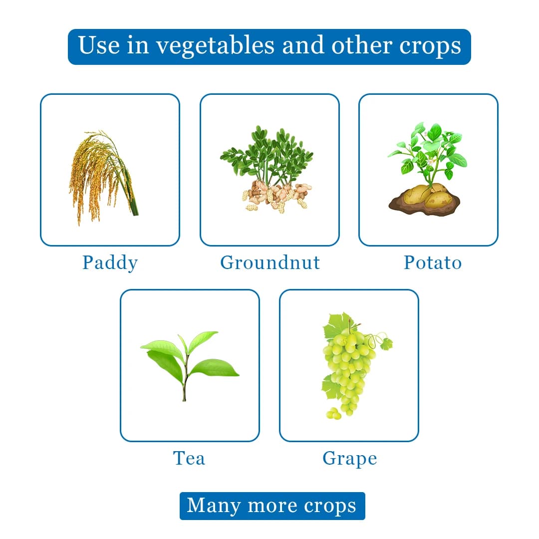 HPM Stuff Fungicide - Image 4