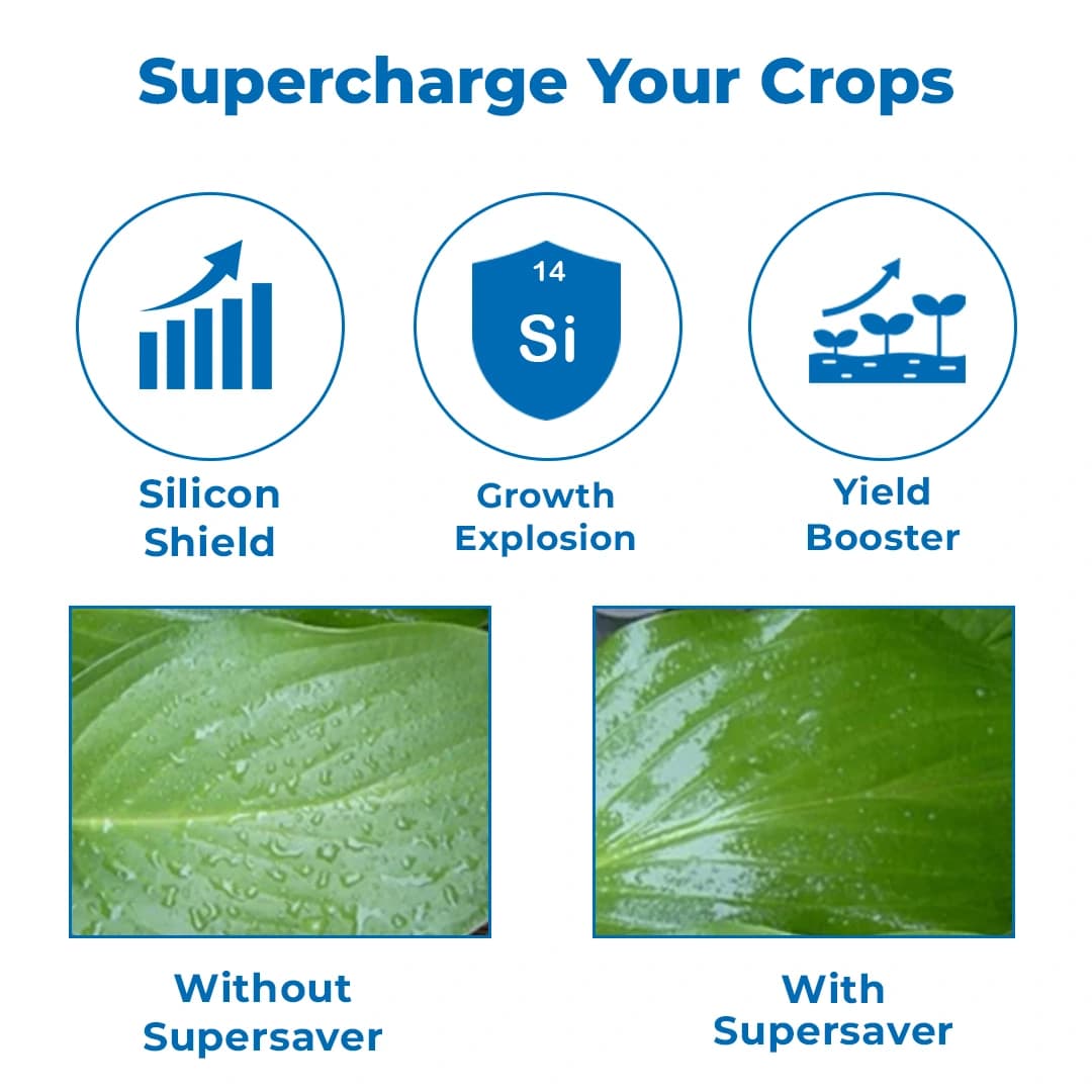 SuperSaver (Silicon-Based Technical Penetrates and Spreader) Excellence Spreader - Image 3