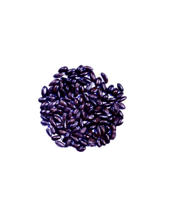 Annona Squamosa Seeds Custard Apple Seeds, Sitaphal Seeds, Excellent Quality Seeds