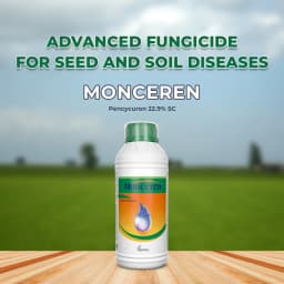 Crystal Monceren Pencycuron 22.9% SC, Non-Systemic Contact Fungicide, Used As Foliar Spray 2