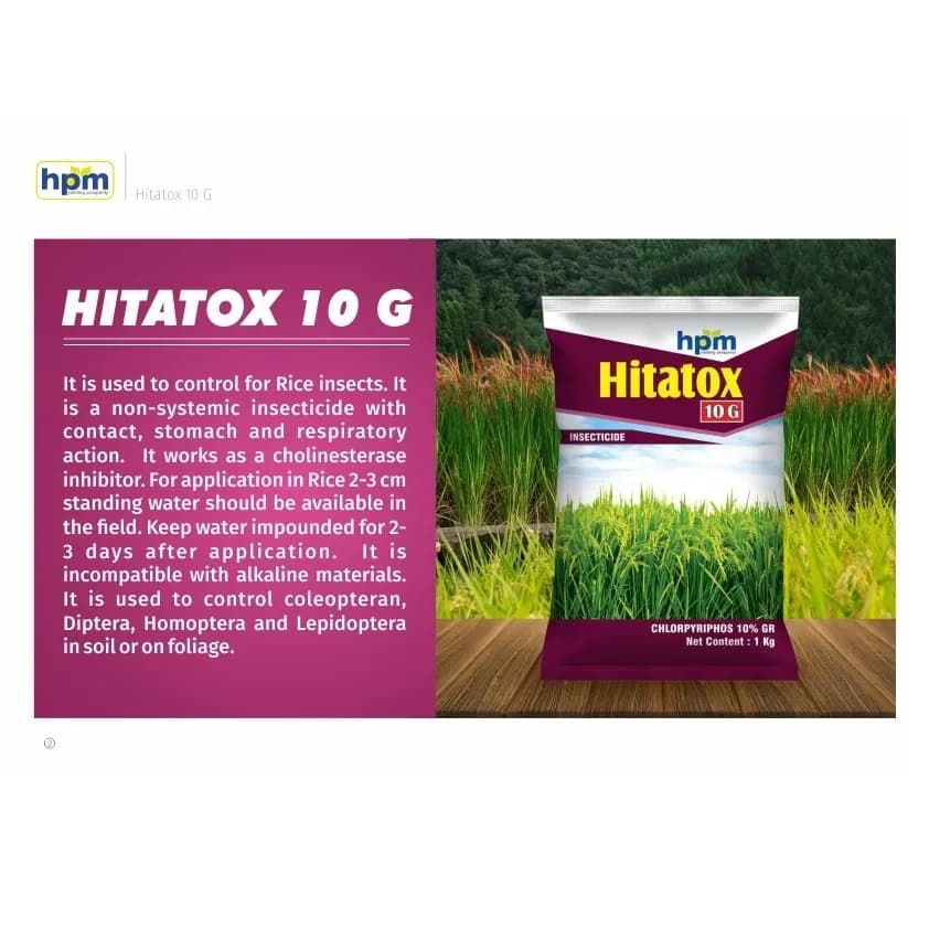 Hpm Hitatox 10G Chlorpyrifos 10% GR Insecticide, Non-Systemic, Effective For Rice Pest Control - Image 4