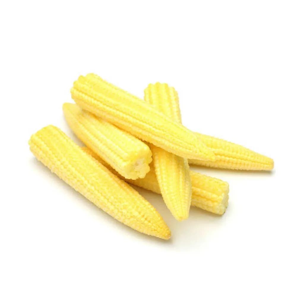 Urja Baby Corn Orion Imported, Mini Corn, Popular Variety with Excellent Marketability - Image 2