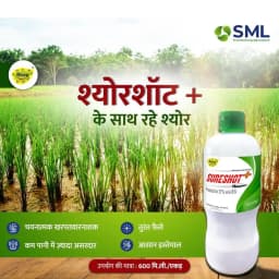 Sml Sureshot Pretilachlor 37% EW Herbicide, Effective For Grasses, Sedges And Weeds In Rice Fields 2