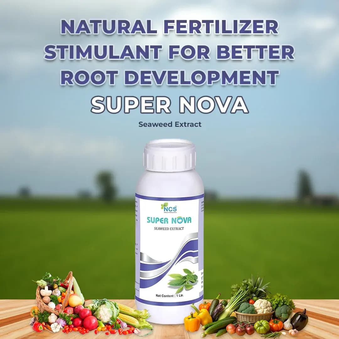 Super Nova - 100% Natural Seaweed Extract Bio-Stimulant, Improves Root Development, Specialized Bio-Fertilizer for All Crops - Image 2