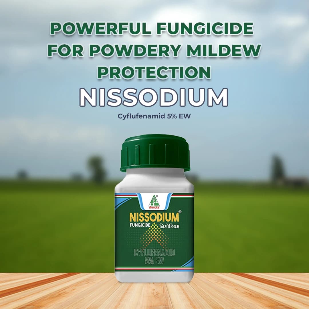 Dhanuka NISSODIUM Cyflufenamid 5% EW Fungicide, Provides Long Lasting Protection Against Powdery Mildew In Crop - Image 2