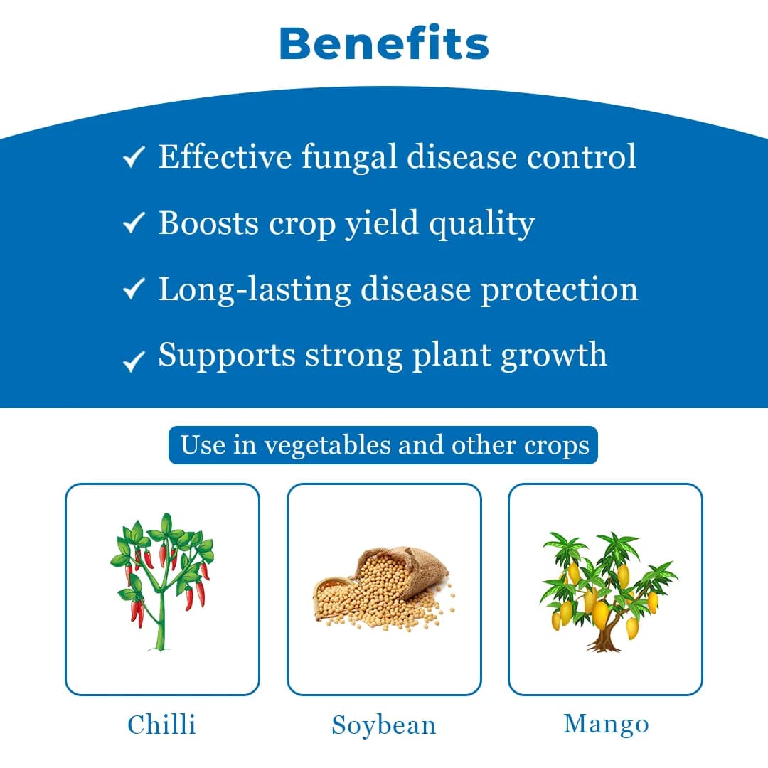 Excel Sumitomo Swadheen Tebuconazole 10% + Sulphur 65% WDG, Efficient And Cost Effective Solution For Fungal Disease - Image 4