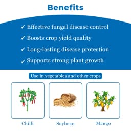Excel Sumitomo Swadheen Tebuconazole 10% + Sulphur 65% WDG, Efficient And Cost Effective Solution For Fungal Disease 4