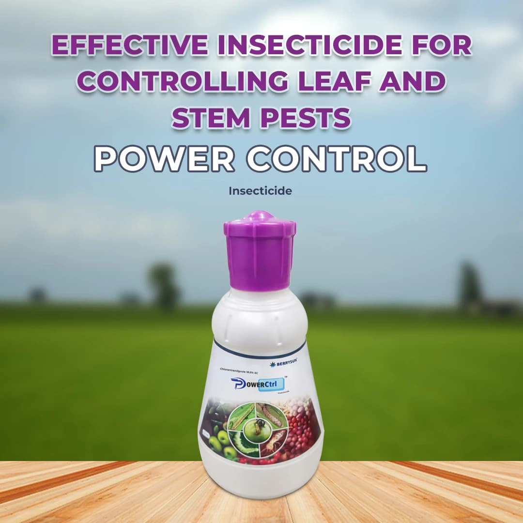 बेरीसन पावर कंट्रोल क्लोरान्ट्रानिलिप्रोले 18.50% एससी कीटनाशक, तेज़ नॉकडाउन और दीर्घकालिक नियंत्रण प्रदान करता है। - Image 3