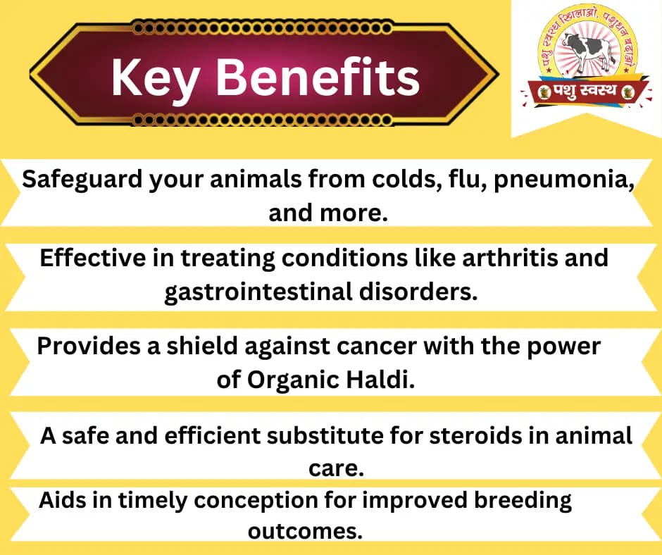 PASHU SVASTH ORGANIC HALDI, Animal Health Supplements, A Natural Shield for Animals, Increase Immunity, Fighting Cancer And More - Image 2