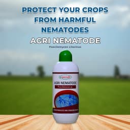 Amruth AGRI NEMATODE (Paecilomyces Lilacinus), 5 X 7 cfu-gm, 108 cfu-ml., Nematodes Pests. 2