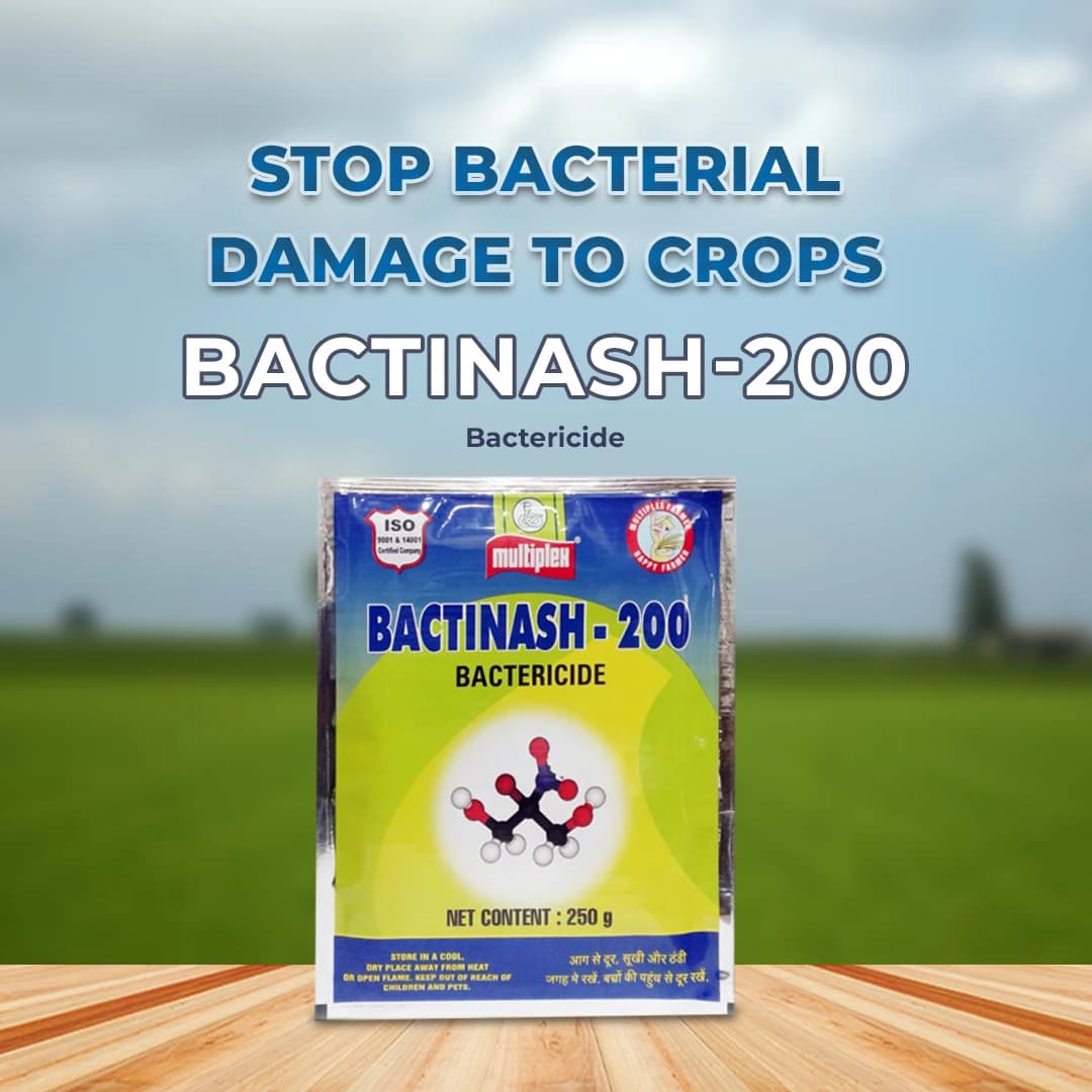 Multiplex Bactinash-200 Bactericide - Image 2