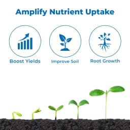 टुबोरा - पौधों और पत्तियों की बेहतर रोग प्रतिकारक क्षमता के लिए फुलविक मिनरल और पोषक तत्व 3