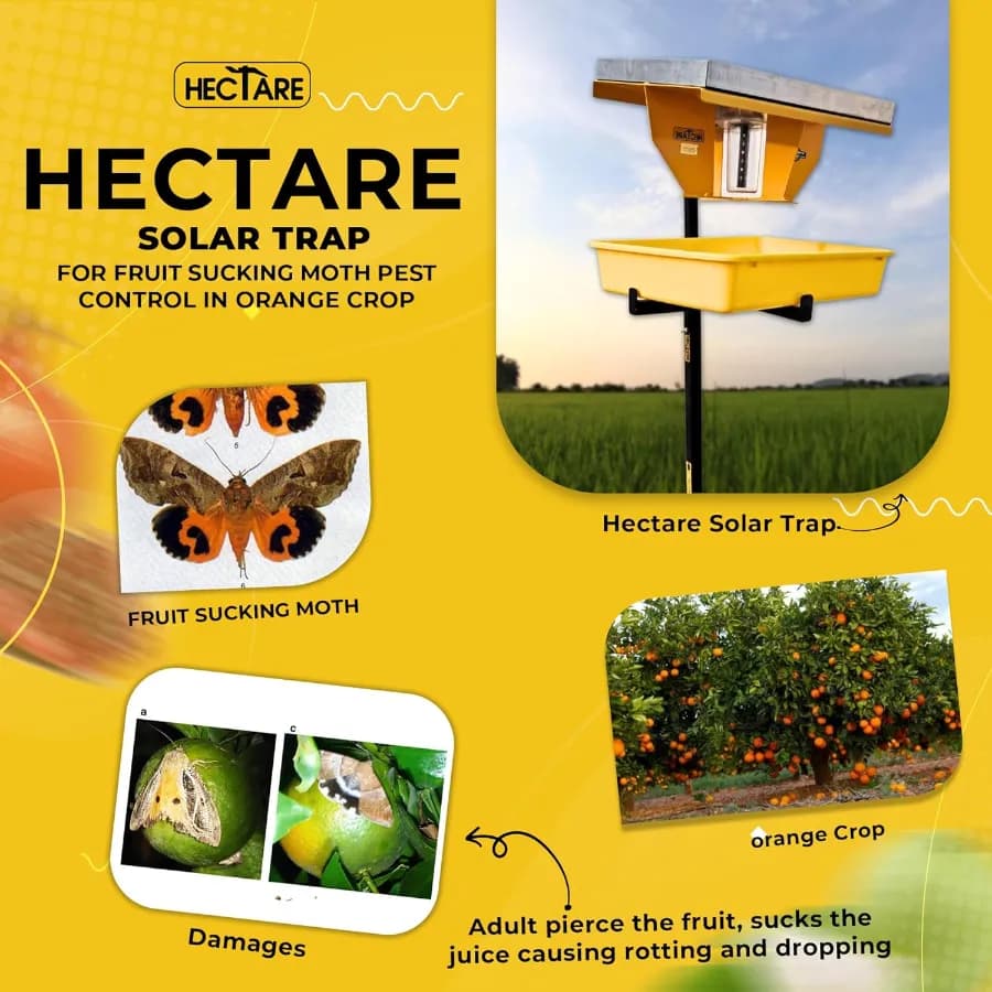 Hectare Automatic Solar Insect Trap with 10 watt Solar Panel UV Light. To capture all types of Insects of Crops. - Image 7