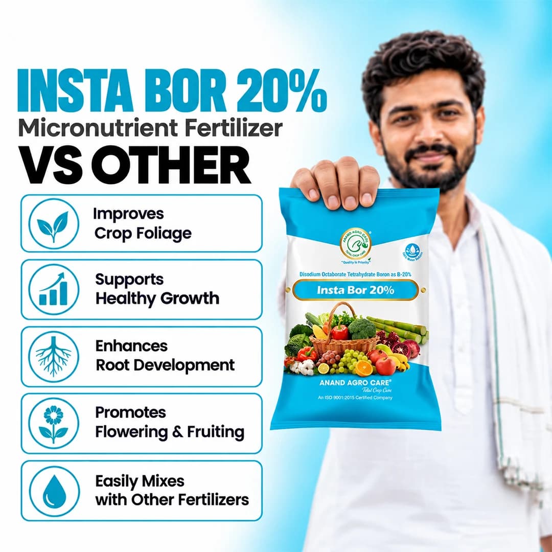 Insta Bor 20% Disodium Octaborate Tetrahydrate - Root Development & Fruit Growth - Image 7