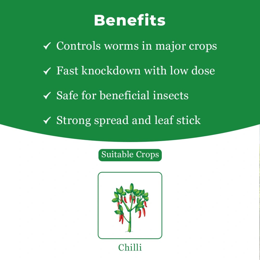 Dhanuka DECIDE Etofenprox 6% + Diafenthiuron 25% WG Insecticide, Broad Spectrum, Effective For Mites, Thrips, Whitefly And Sucking Pests - Image 4