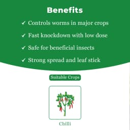 Dhanuka DECIDE Etofenprox 6% + Diafenthiuron 25% WG Insecticide, Broad Spectrum, Effective For Mites, Thrips, Whitefly And Sucking Pests 4