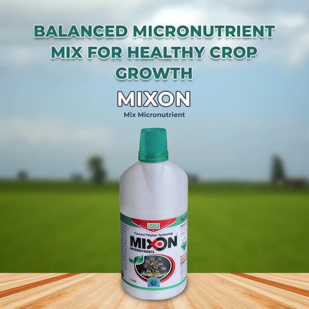 BACF Mixon Mix Micronutrient , Provides Plant Nutrition In a Wide Variety of Agriculture, Horticulture, and Ornamental Crops - Image 2