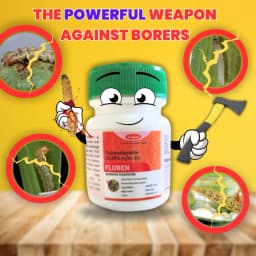 Katyayani Fluben Flubendiamide 39.35% SC Insecticide, Target a Range of Lepidopteran Pests 6