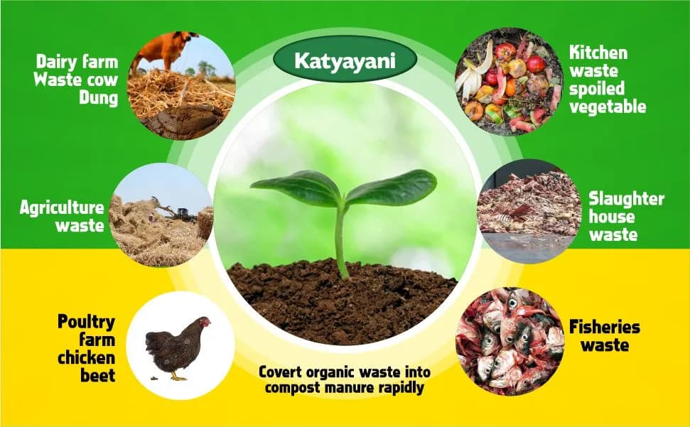 Katyayani Dekumpose Compost Activator Culture For Fast Decomposing, 100% Natural Product - Image 3