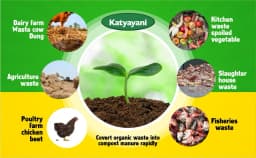 Katyayani Dekumpose Compost Activator Culture For Fast Decomposing, 100% Natural Product 3