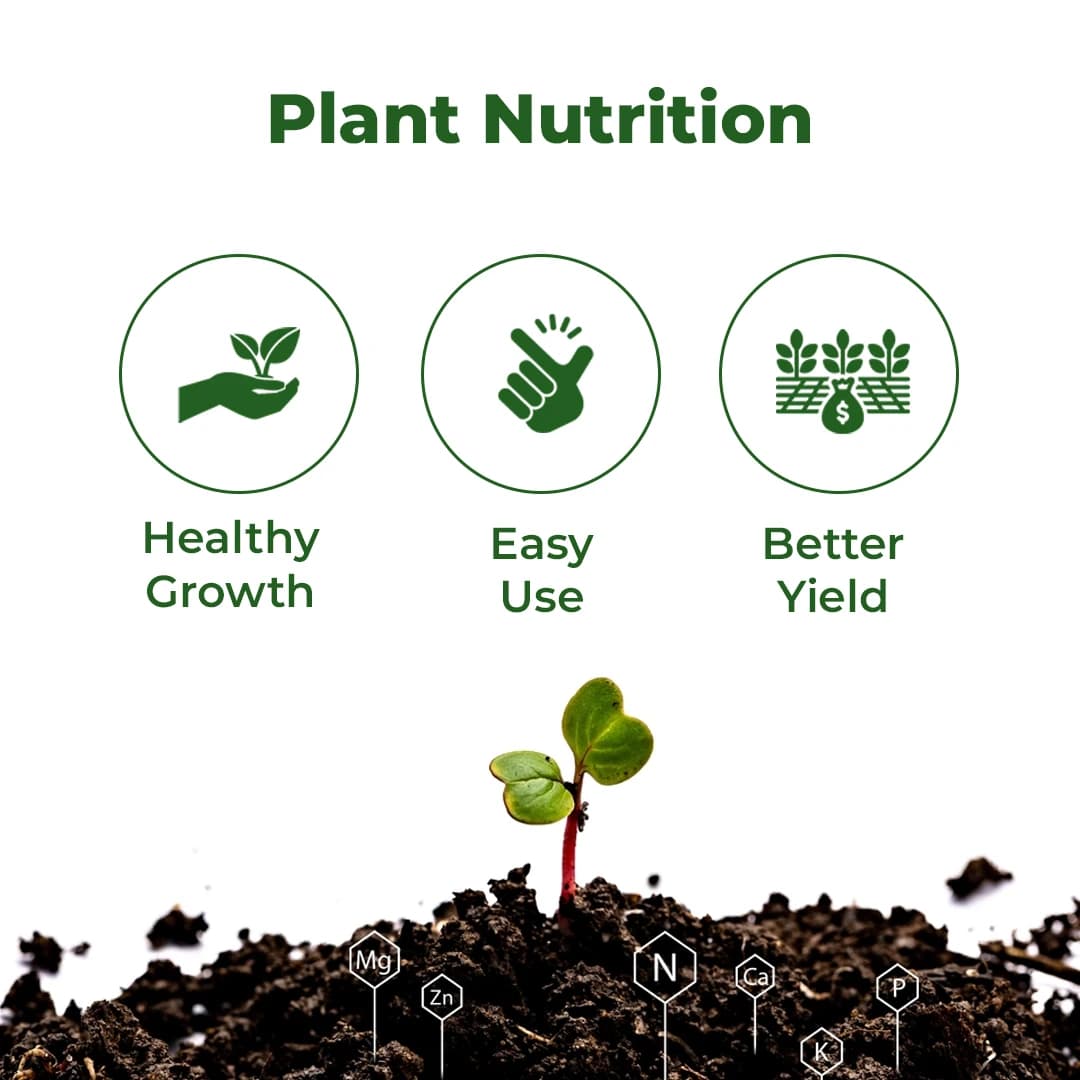 गन्ना विशेष लिक्विड माइक्रोन्यूट्रियेंट मिश्रण खाद - ज़िंक, आयरन, बोरॉन, कॉपर और मैंगनीज़ जैसे आवश्यक माइक्रोन्यूट्रियेंट्स से समृद्ध - Image 3