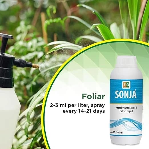 Titan Agritech SONJA Seaweed Liquid 20% Ascophyllum Extract, Natural Plant Biostimulant For Growth And Yield - Image 3