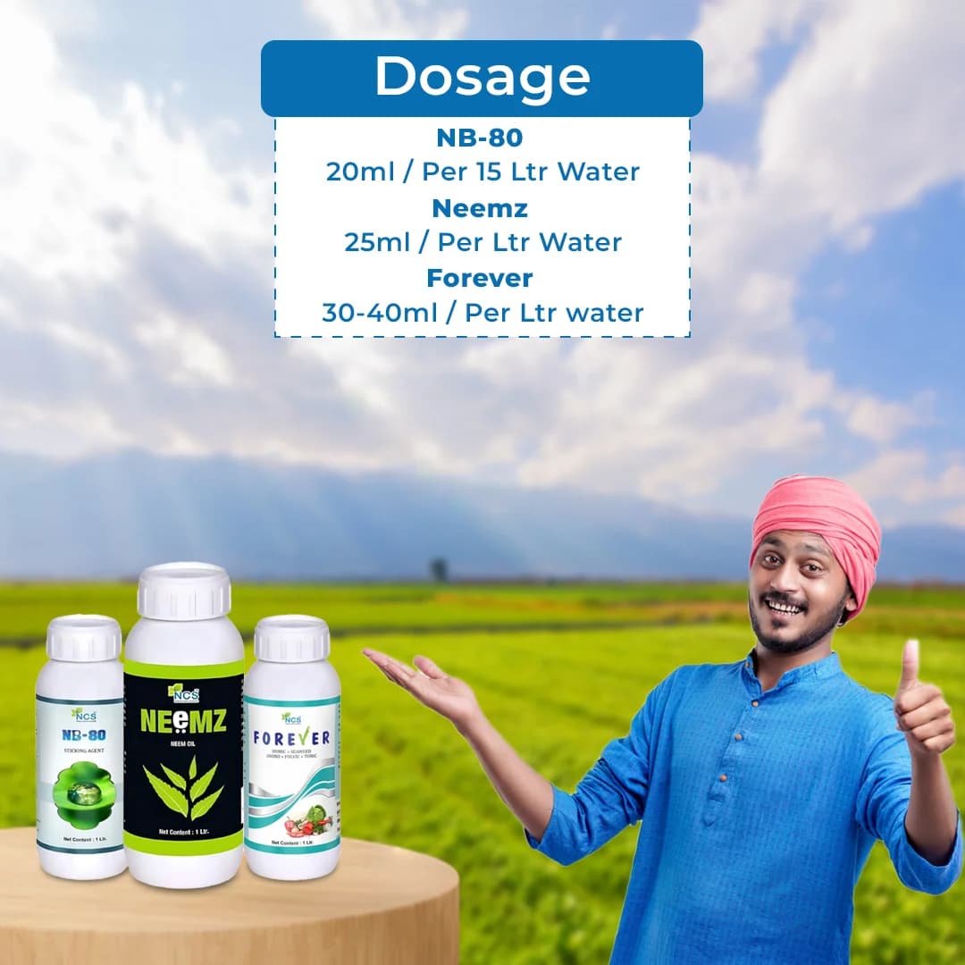 Ramban Combo (Neemz 500 ML + Forever 500 ML + NB-80 250 ML) For Initial Growth Stage Use In Any Crop - Image 5