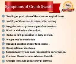 PASHU SVASTH GARBH SVASTH, Herbal Cattle Prolapse And Uterine Health Solution 7
